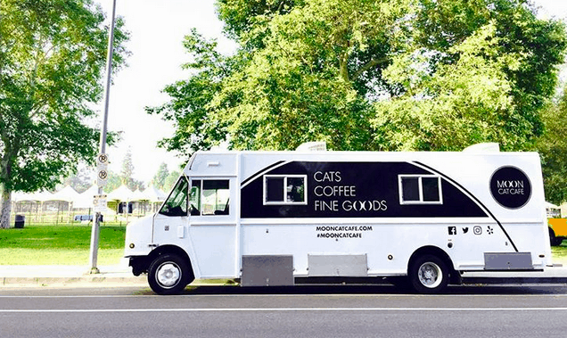 First Mobile Cat Cafe  Helps Cats  in Need CatTipper