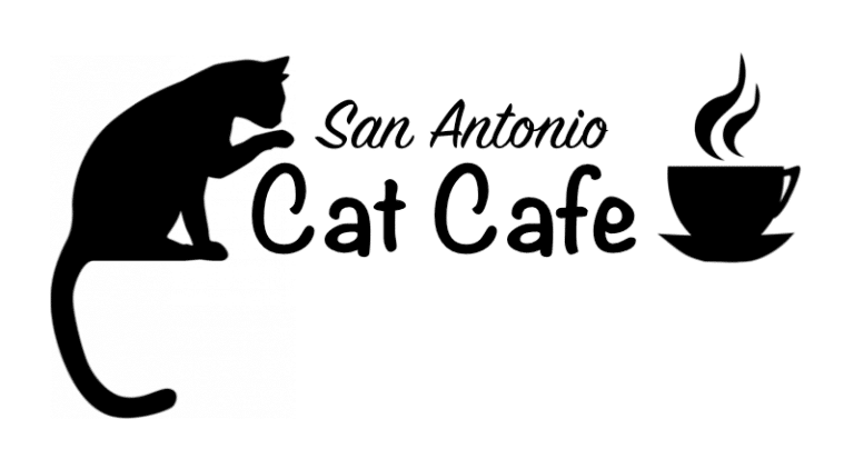 San Antonio Cat Cafe Opens