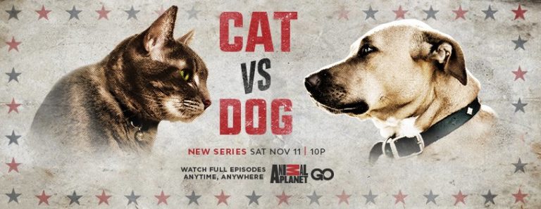 Animal Planet Unleashes ‘Cat vs. Dog’