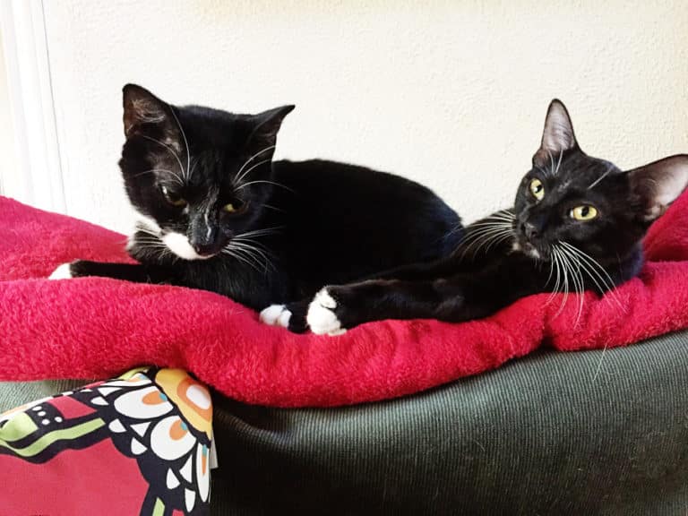 Wishing You a Happy Thanksgiving!