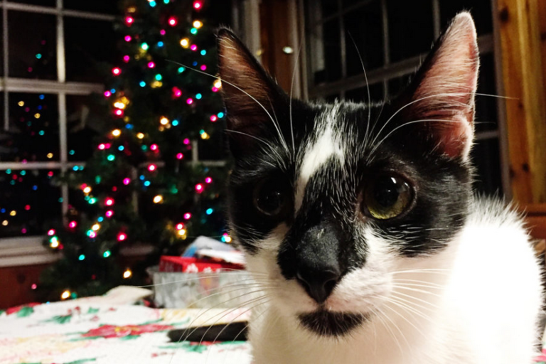 Once Again, Remembering Christmas Past