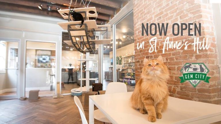 Gem City Catfe, Dayton, Ohio