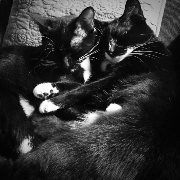 Wordless Wednesday: Winter Weather Hits Texas