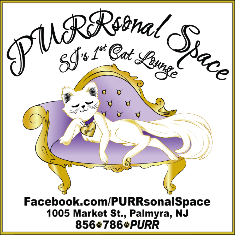PURRsonal Space Cat Lounge, cat cafe in New Jersey