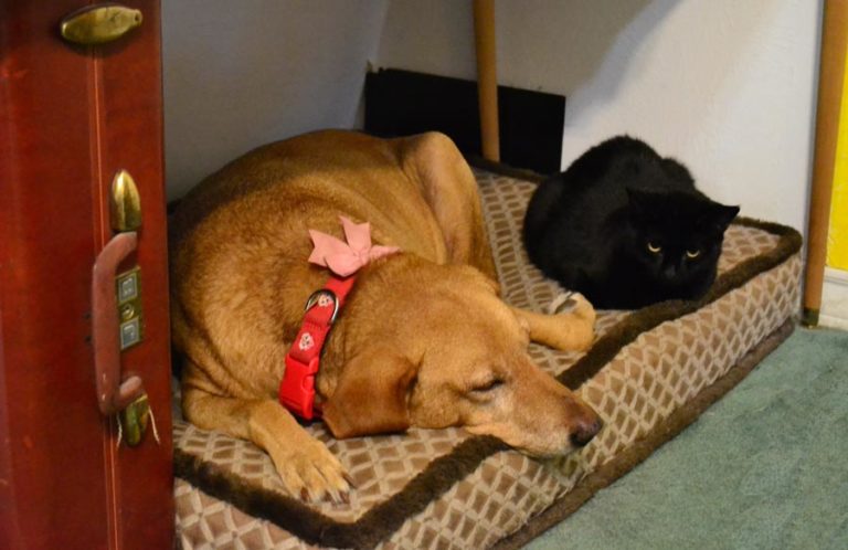 We’re Taking Off for a Few Days