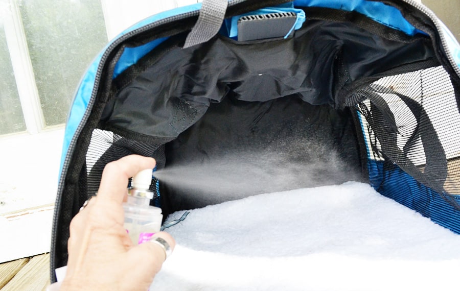 spray Feliway in your cat carrier to help your cat feel calm