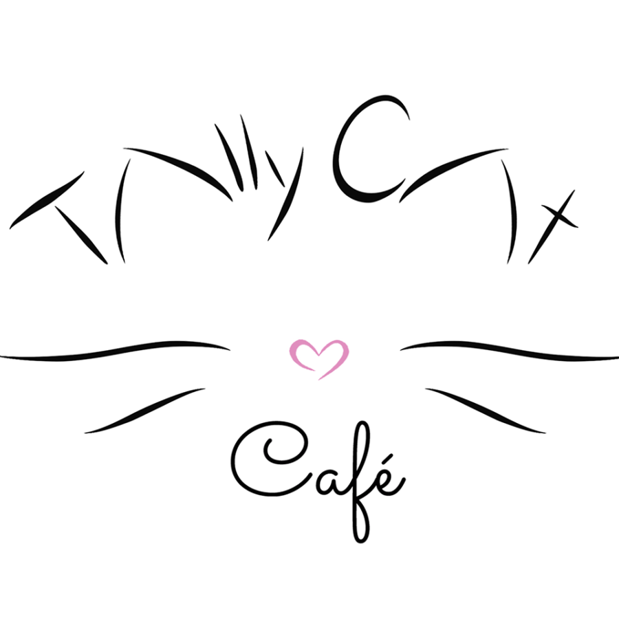 Tally Cat Cafe, Tallahassee, Florida