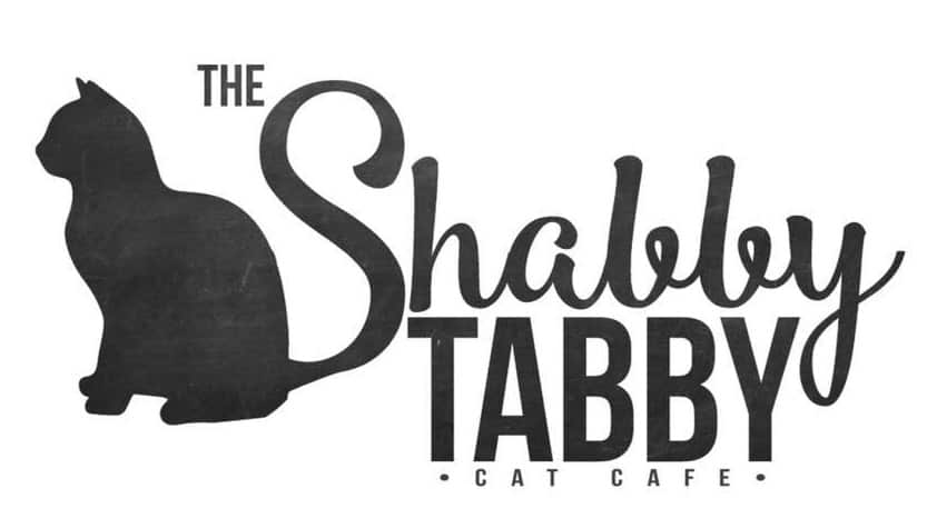 The Shabby Tabby Cat Cafe, Sayville, New York