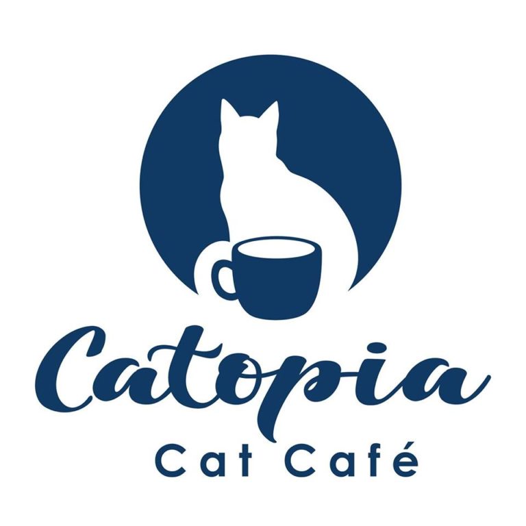Catopia Cat Cafe, Albuquerque, New Mexico