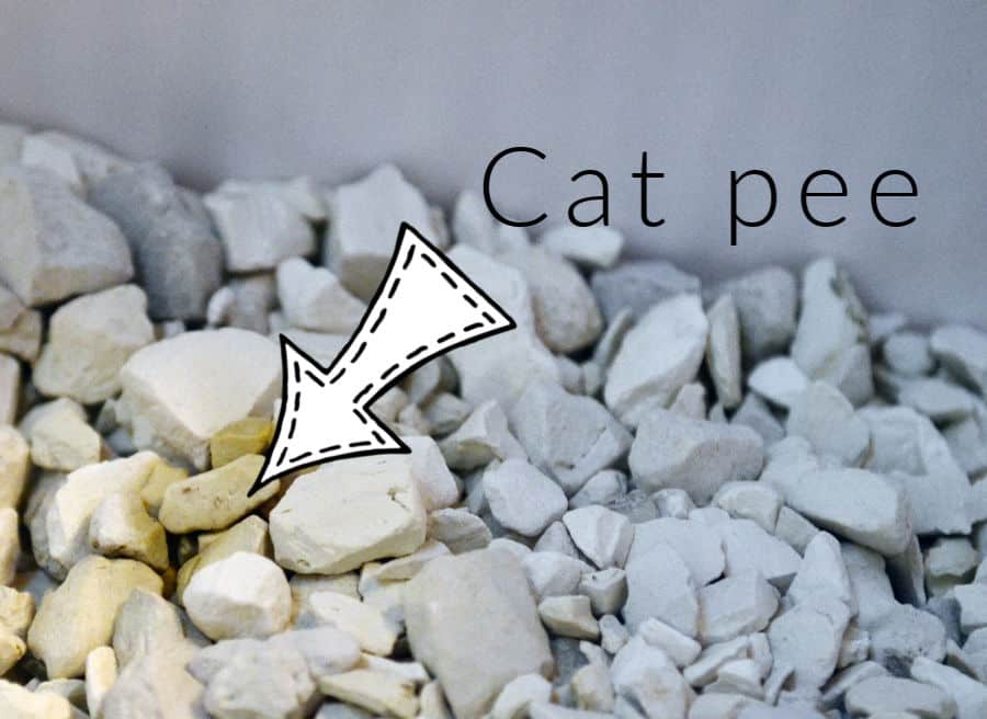 Skoon cat litter with pee