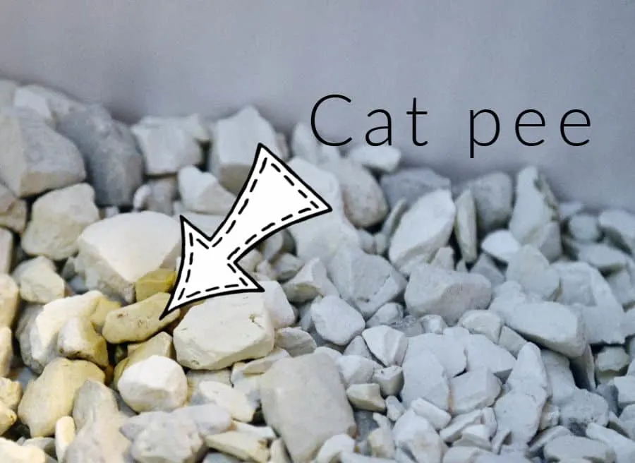 Skoon cat litter with pee