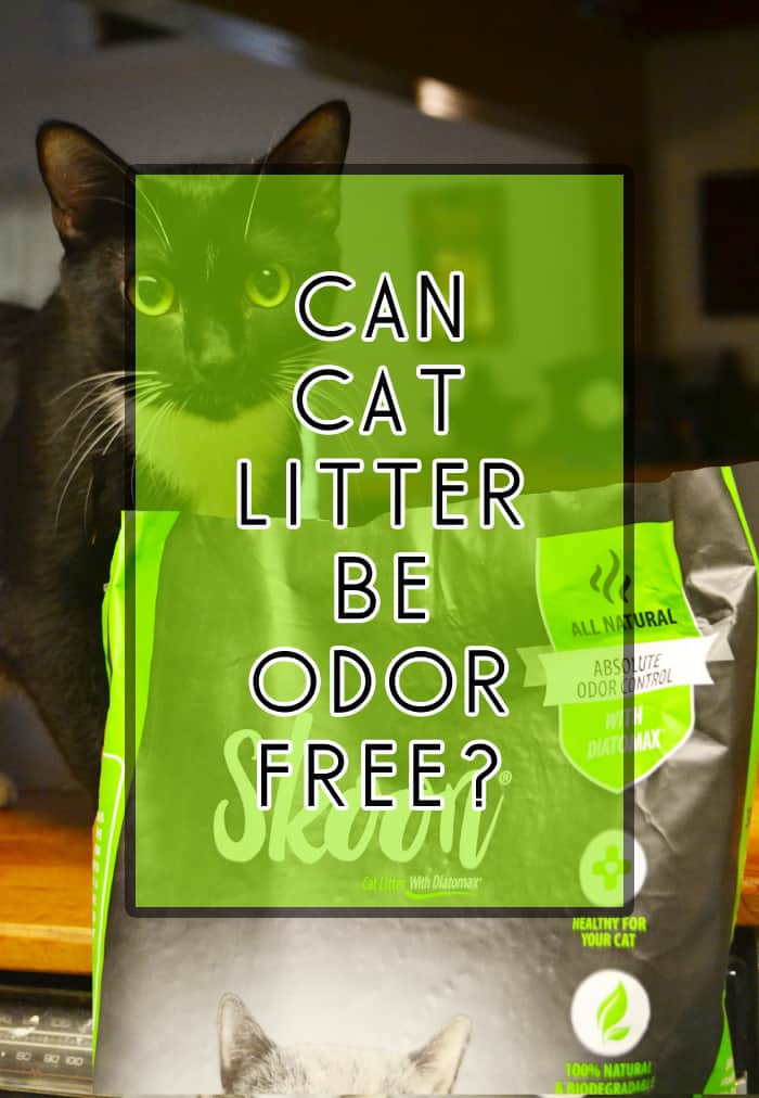 Skoon cat litter designed to be odor free