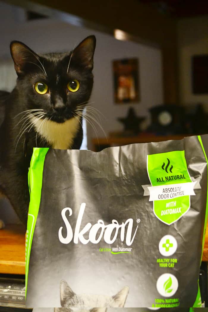 Skoon Cat Litter Designed to Be Odor Free CatTipper