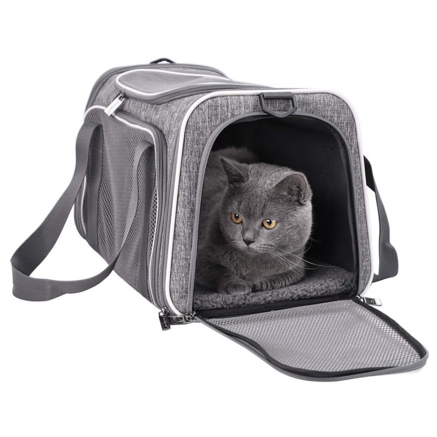 13 Ways to Help Your Cat Love the Cat Carrier