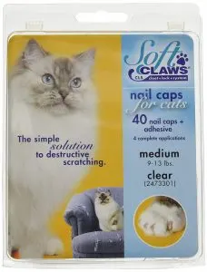 soft claws for cats