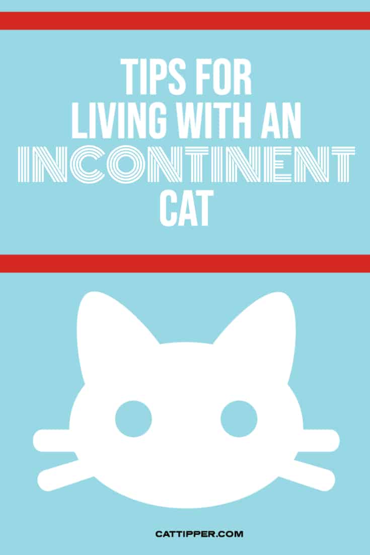 tips for living with an incontinent cat