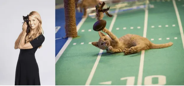 Beth Stern Kitten Bowl