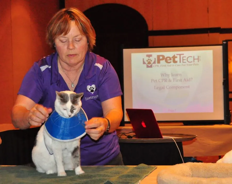 pet first aid class with cat