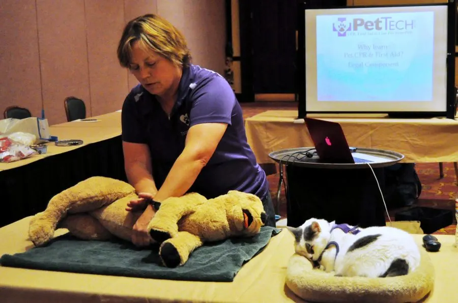 Arden Moore using plush dog to teach pet CPR