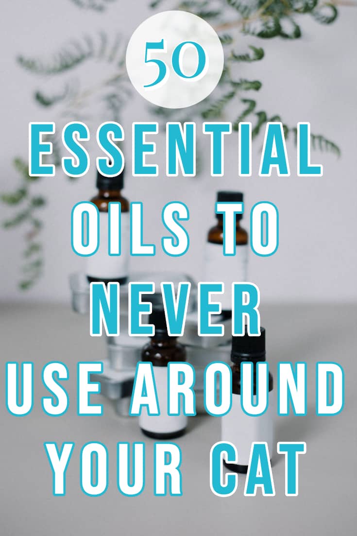 Essential Oils not safe to cats