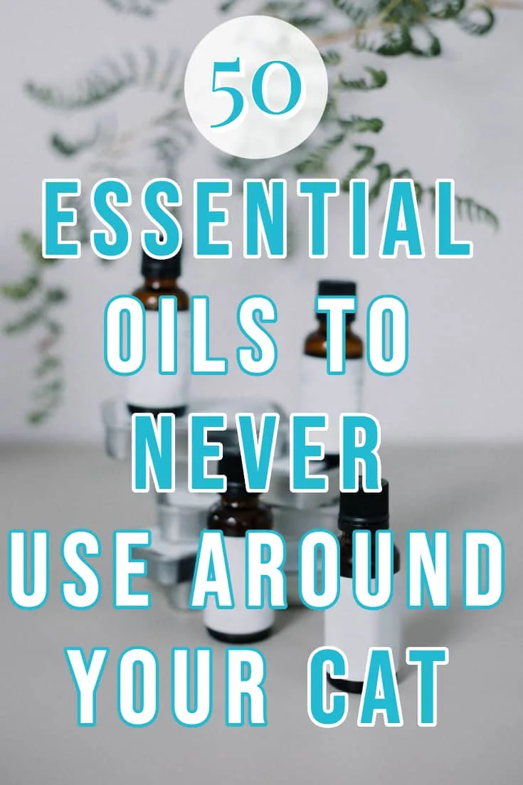 Essential Oils not safe to cats