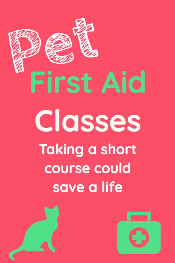 Pet first aid classes