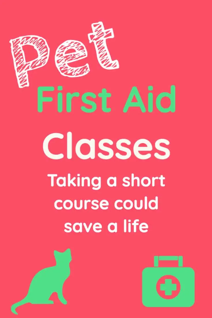 Pet first aid classes