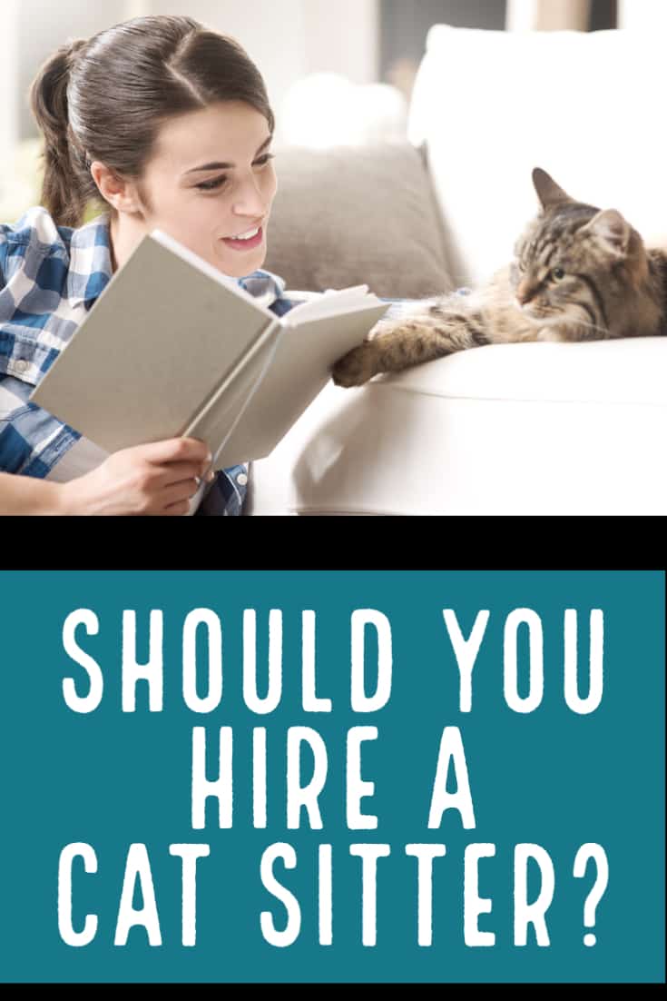 cat sitting or pet boarding? should you hire a cat sitter?