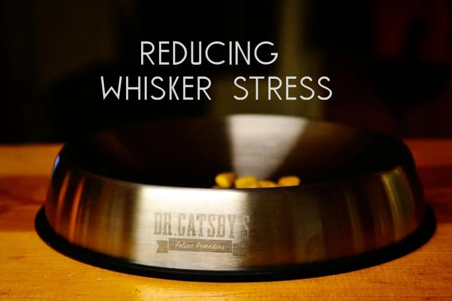 reducing whisker stress in your cat