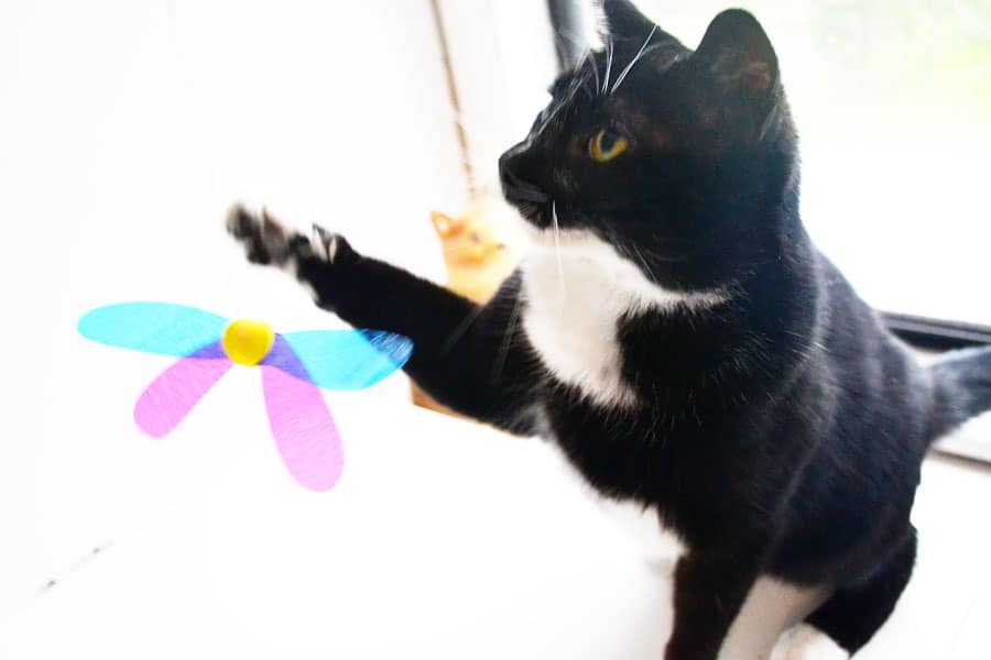 Pet Ki's RompiCatz Japanese Mylar Cat Toys CatTipper