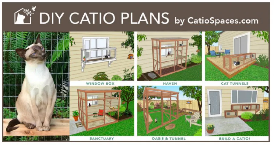 DIY catio plans for your cat