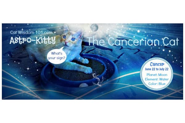cat astrology: Cancer