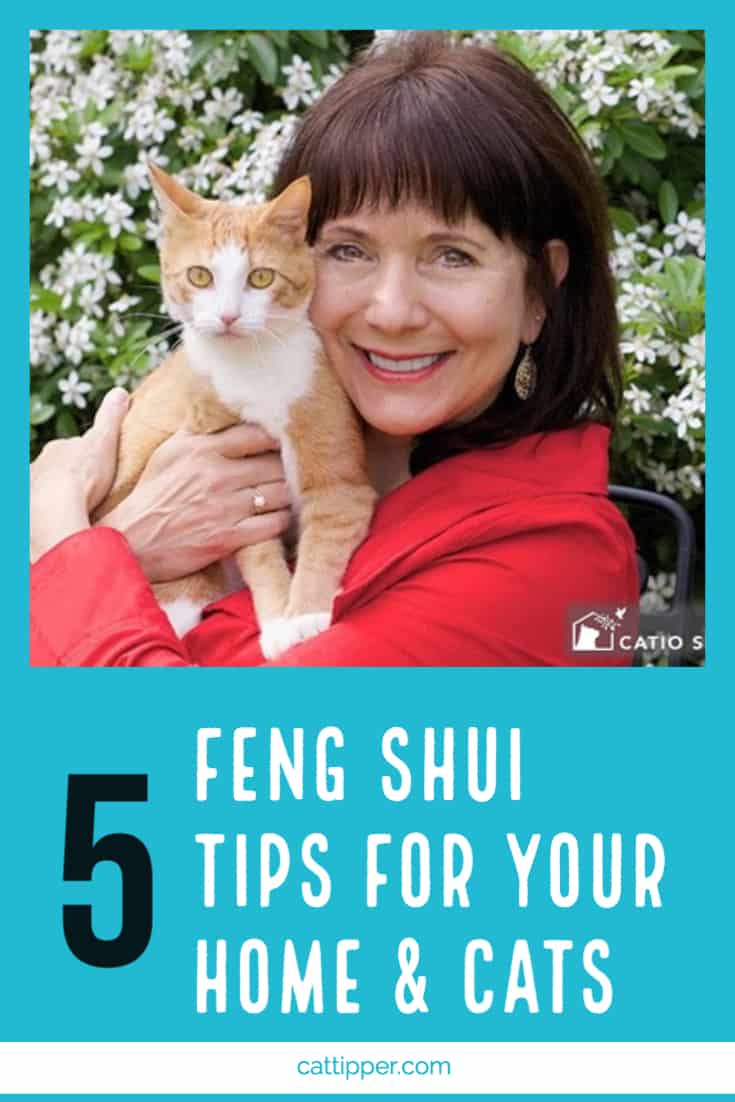 Feng Shui tips for your home and cats