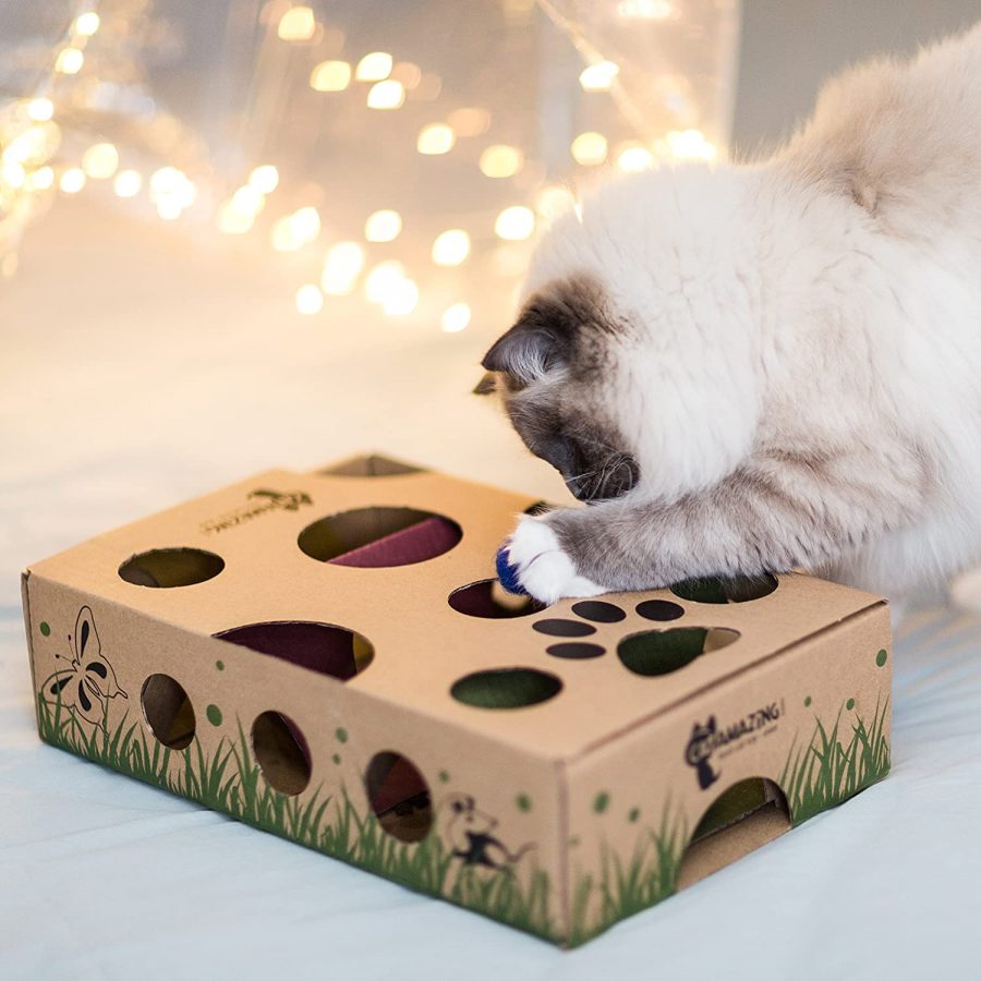 cat puzzle feeder