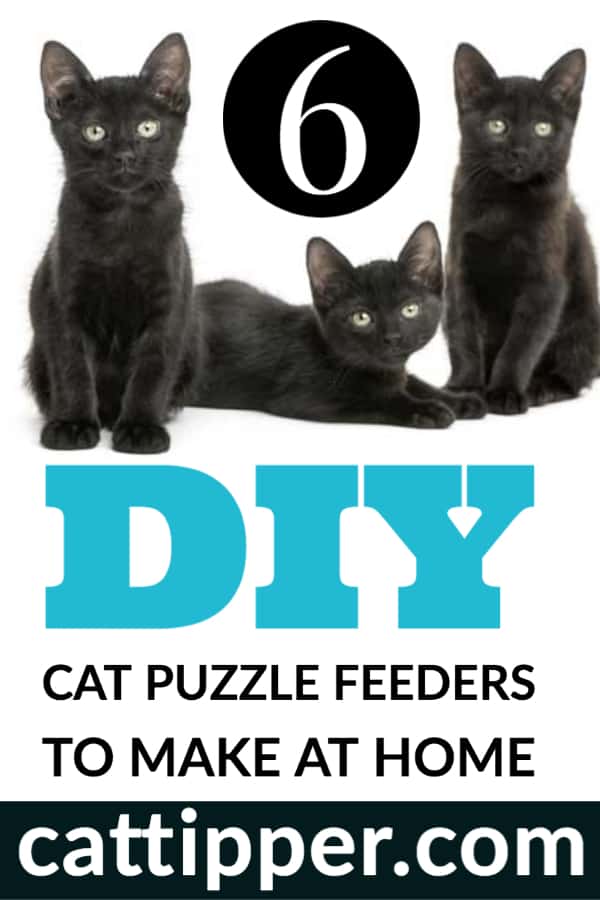 6 DIY Cat Puzzle Feeders