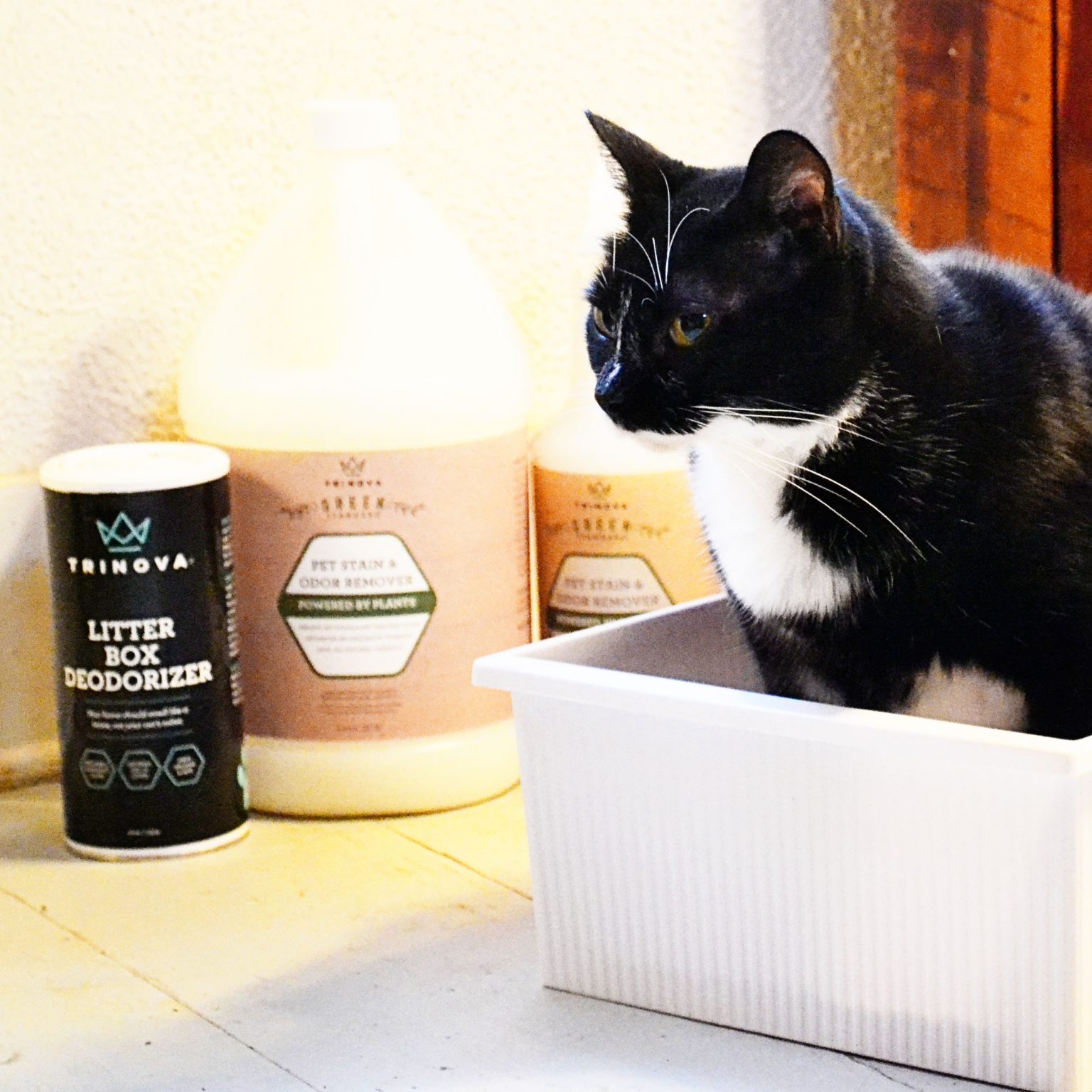 {ended} Win TriNova Cat Litter Box Deodorizer + Natural Pet Stain