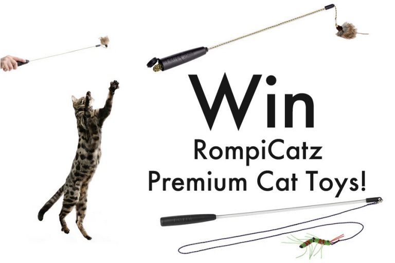 Review: RompiCatz Cat Wands