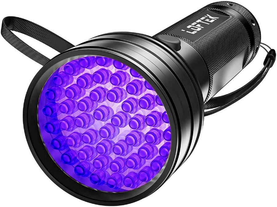 UV flashlight to see scorpions in the dark