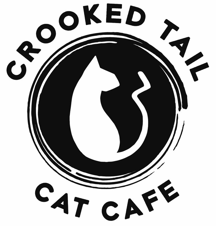 Crooked Tail Cat Cafe, North Carolina
