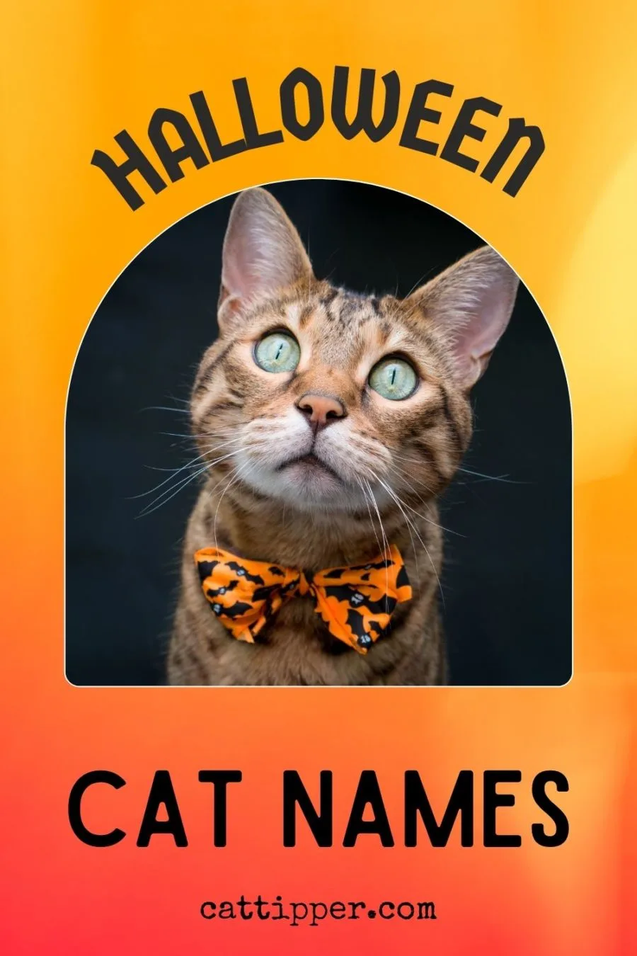 halloween themed cat names
