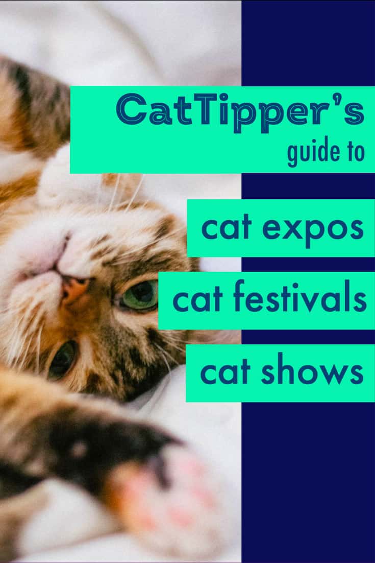 cat expos, cat conventions and cat film festival guide