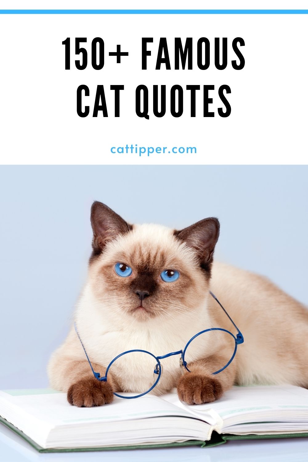 150+ Famous Cat Quotes to Make Cat Lovers Purr! - CatTipper