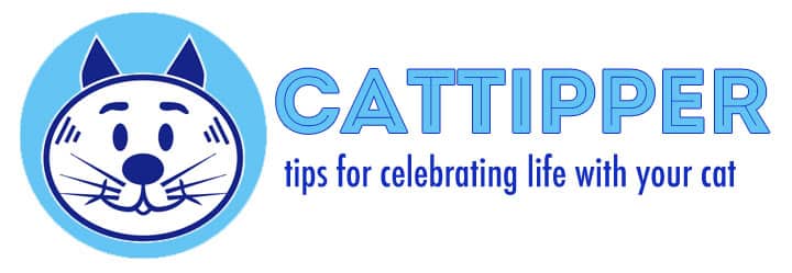 CatTipper Cat Blog