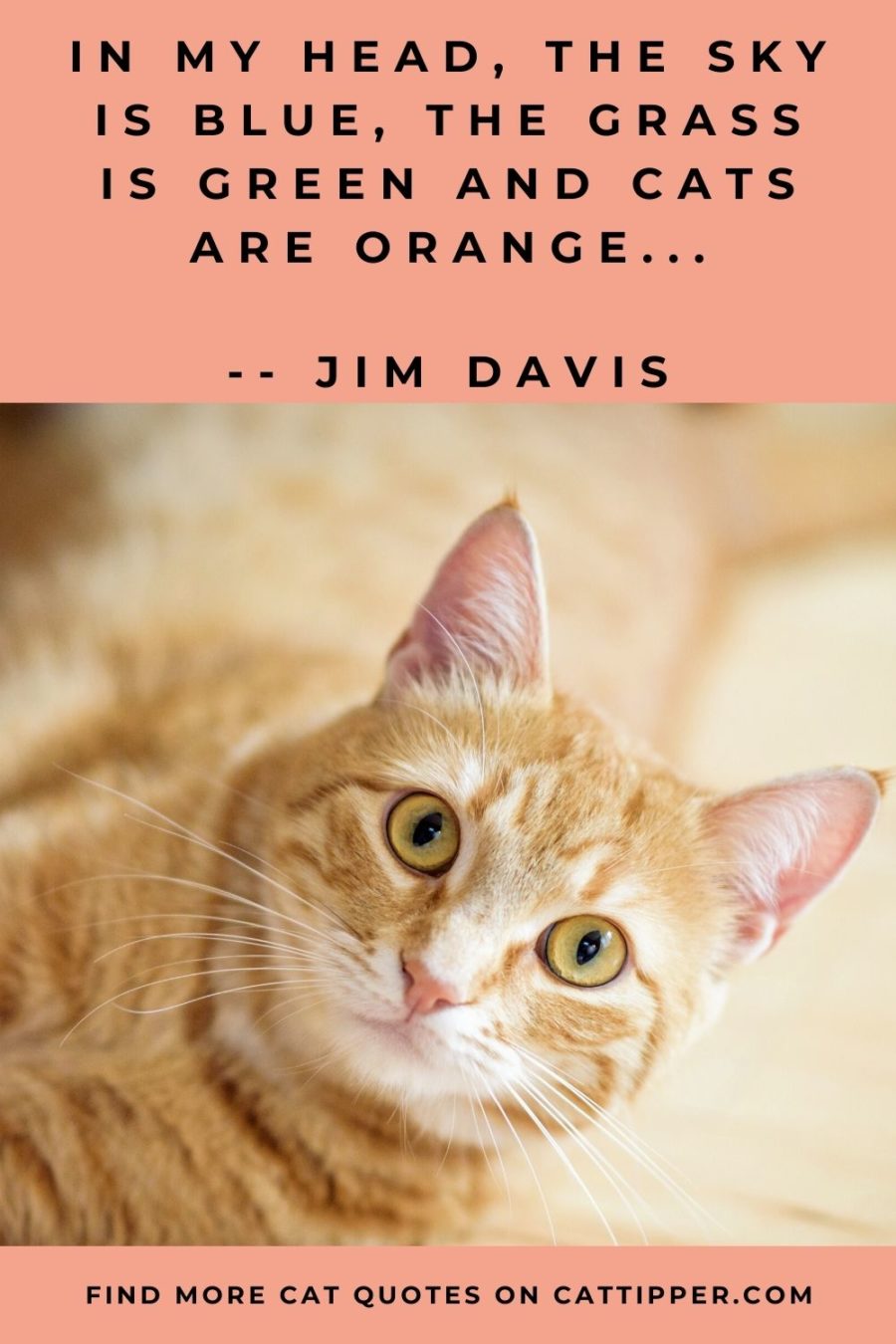 famous cat quote by jim davis