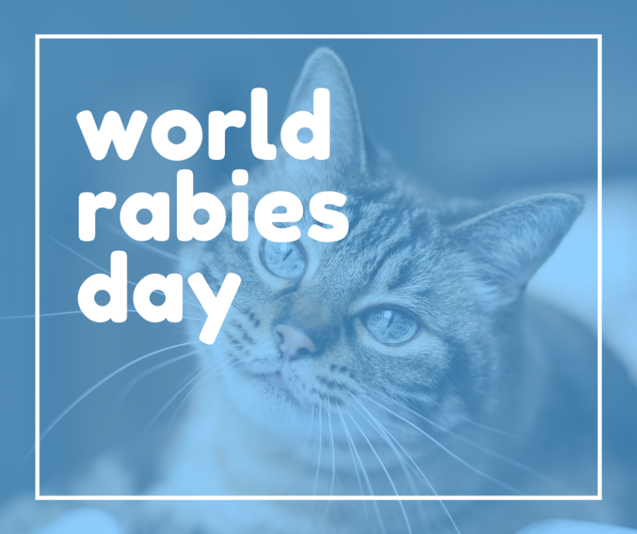 World Rabies Day