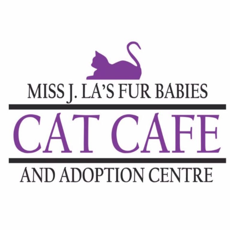 Miss J. La’s Fur Babies Cat Cafe, Winnipeg