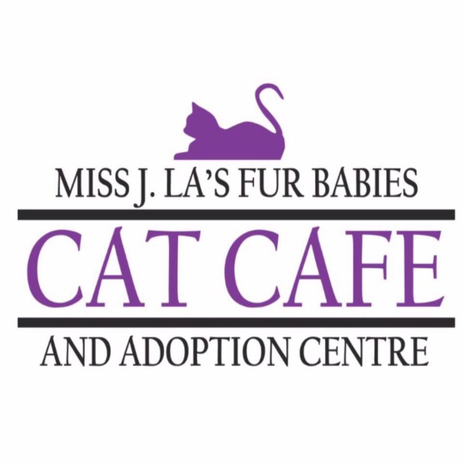 Miss J.La's Fur Babies Cat Cafe and Adoption Centre Winnipeg Canada cat cafe