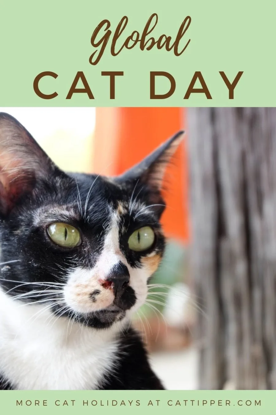 global cat day