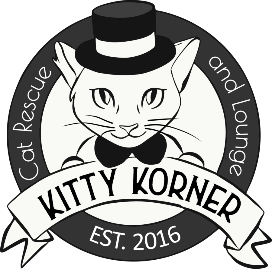 Kitty Korner cat cafe, Edmonds, Washington