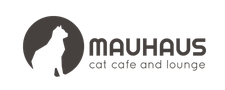 mauhaus cat cafe  - cat cafes in st louis missouri